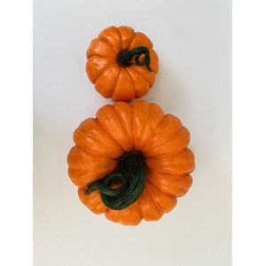 KABAK OBJE SET BAHÇE AKSESUARI