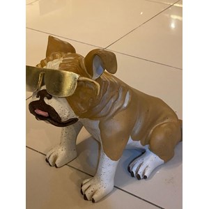 KÖPEK OBJE GÖZLÜKLÜ